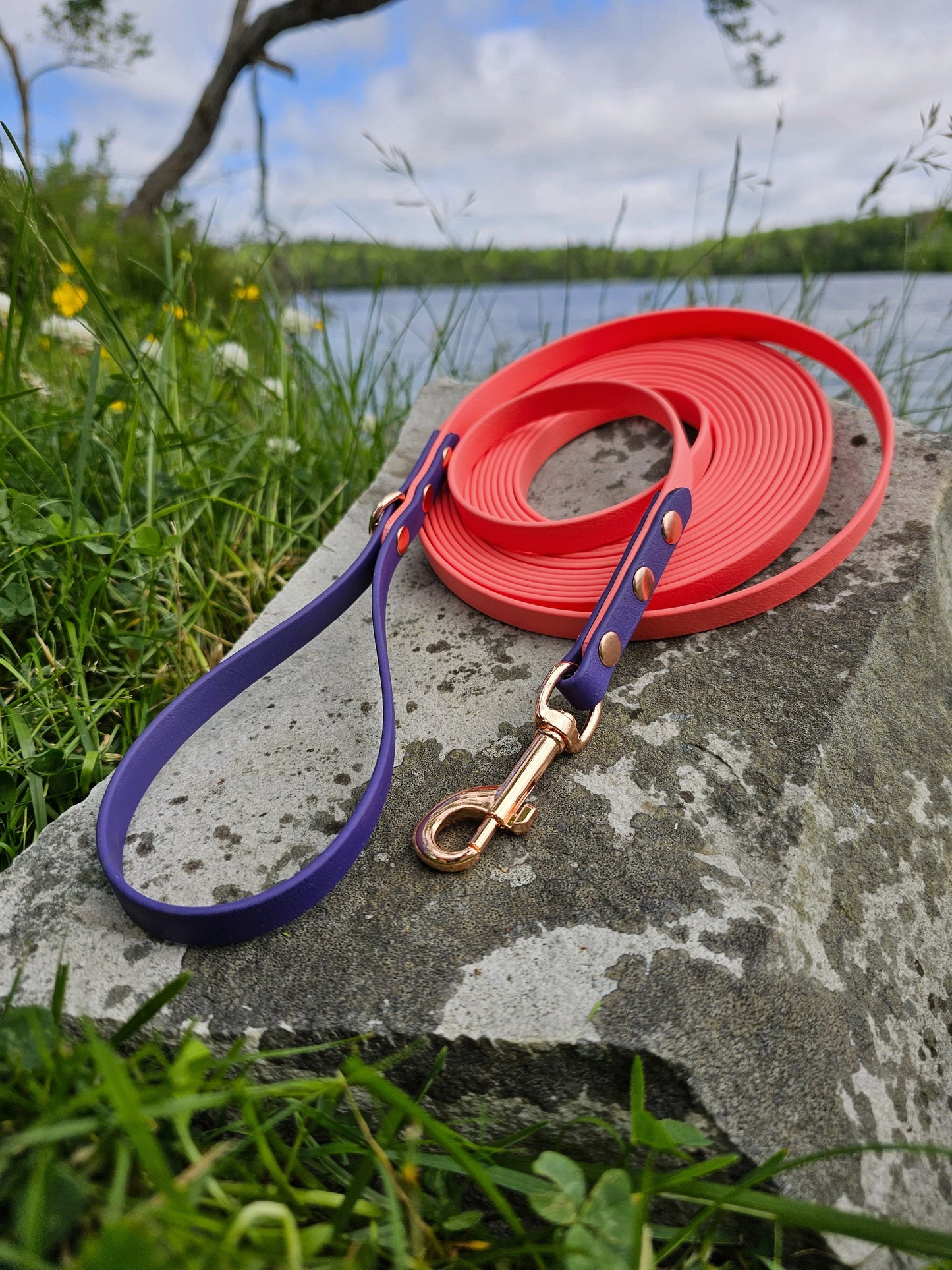 2 tone lone line dog leash for recall training