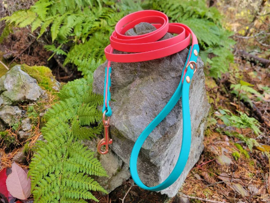 1/2" Wide Biothane Leash Single Color or 2 Tone, Waterproof Leash, Vegan Leather Leash, Puppy Leash, Small Dog Leash