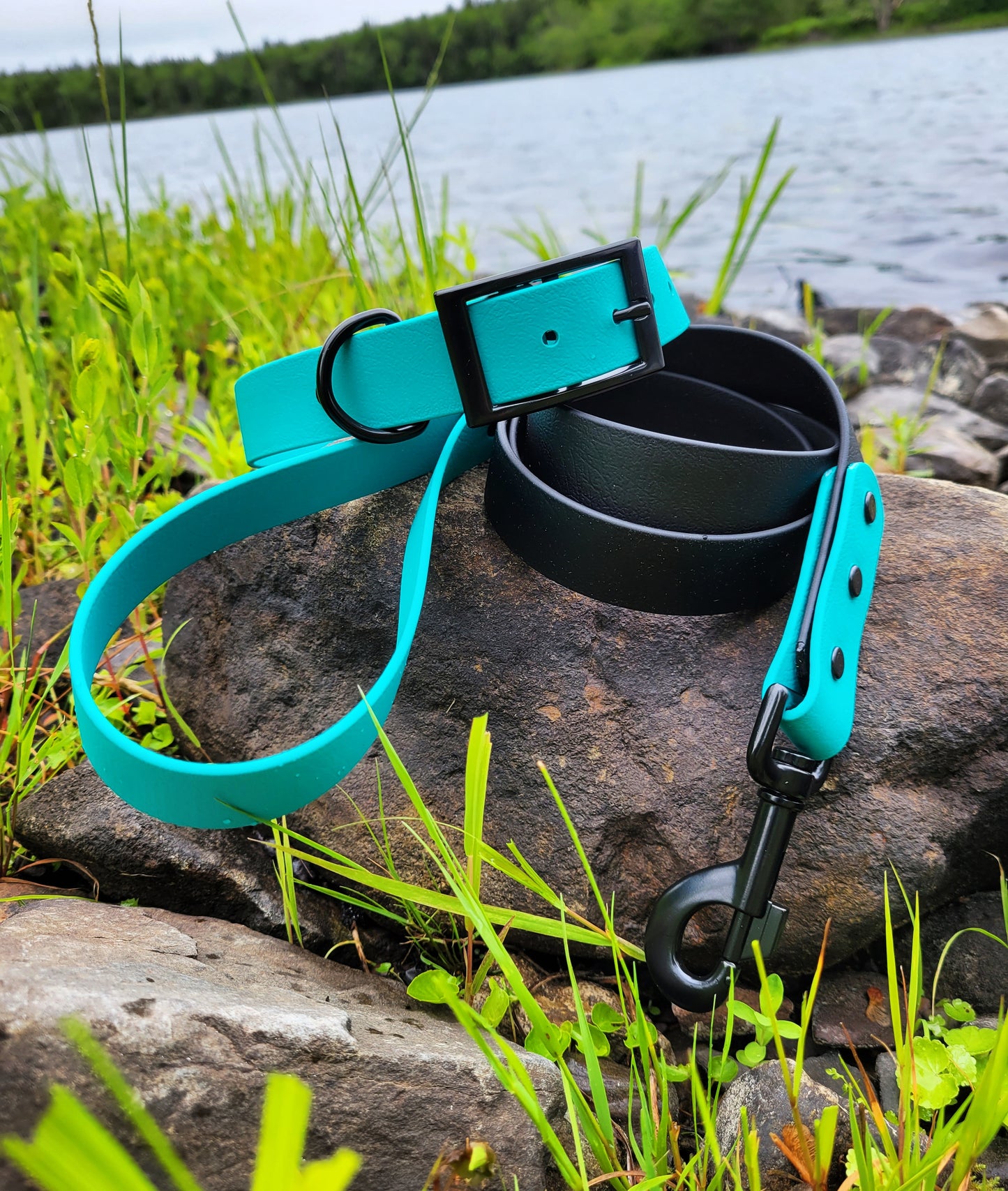 1" or 3/4" Collar/Leash Biothane Set in Single Colour or 2 Tone Leash (Choice of 3/4" or 1" Leash)