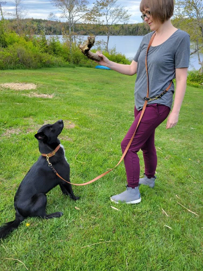 Hands Free Leash with Solid Brass Hardware