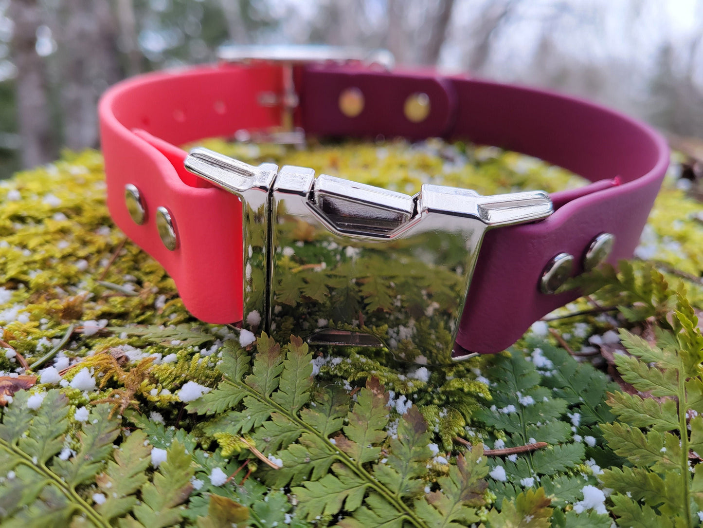 Quick Release Adjustable Biothane Dog Collar, Adjustable Side Release Biothane Dog Collar, Waterproof Dog Collar, Vegan Leather Dog Collar