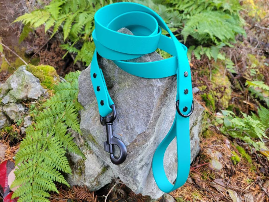 1" Wide Biothane Leash in Single Colour or 2 Tone Color, Waterproof Leash, Vegan Leather Leash, Easy to Clean Leash