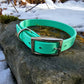 1/2" Collar/Leash Puppy or Small Dog Biothane Waterproof Leash and Collar, Vegan Leather Collar and Leash