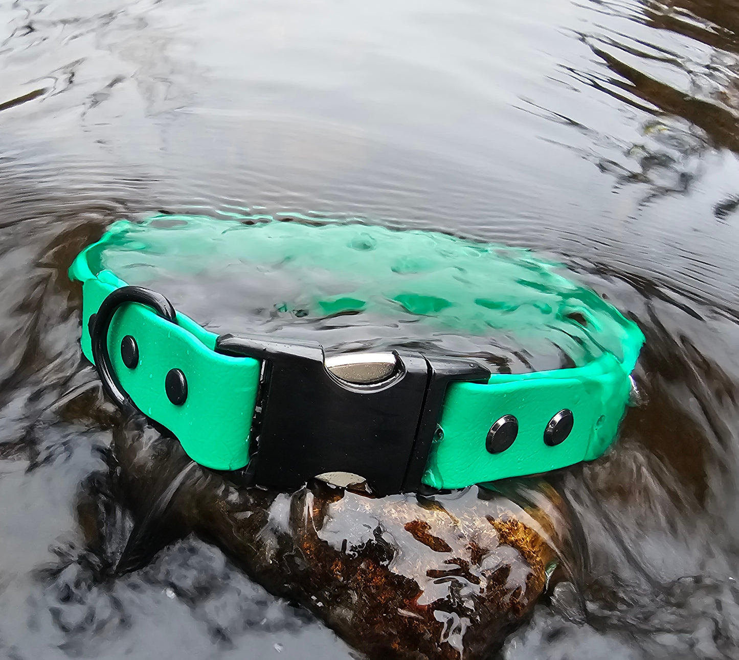 A green dog collar with an Alu-max buckle, placed on a rock surrounded by flowing water.