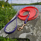 2 tone lone line dog leash for recall training