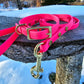 1/2" Collar/Leash Puppy or Small Dog Biothane Waterproof Leash and Collar, Vegan Leather Collar and Leash