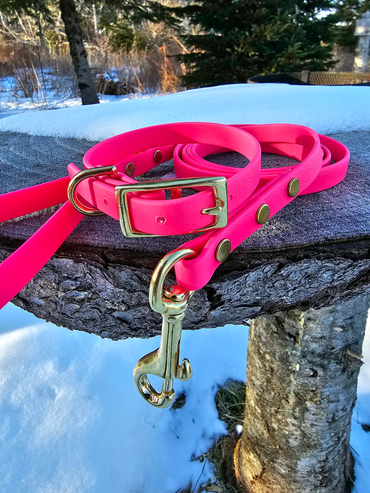 1/2" Collar/Leash Puppy or Small Dog Biothane Waterproof Leash and Collar, Vegan Leather Collar and Leash