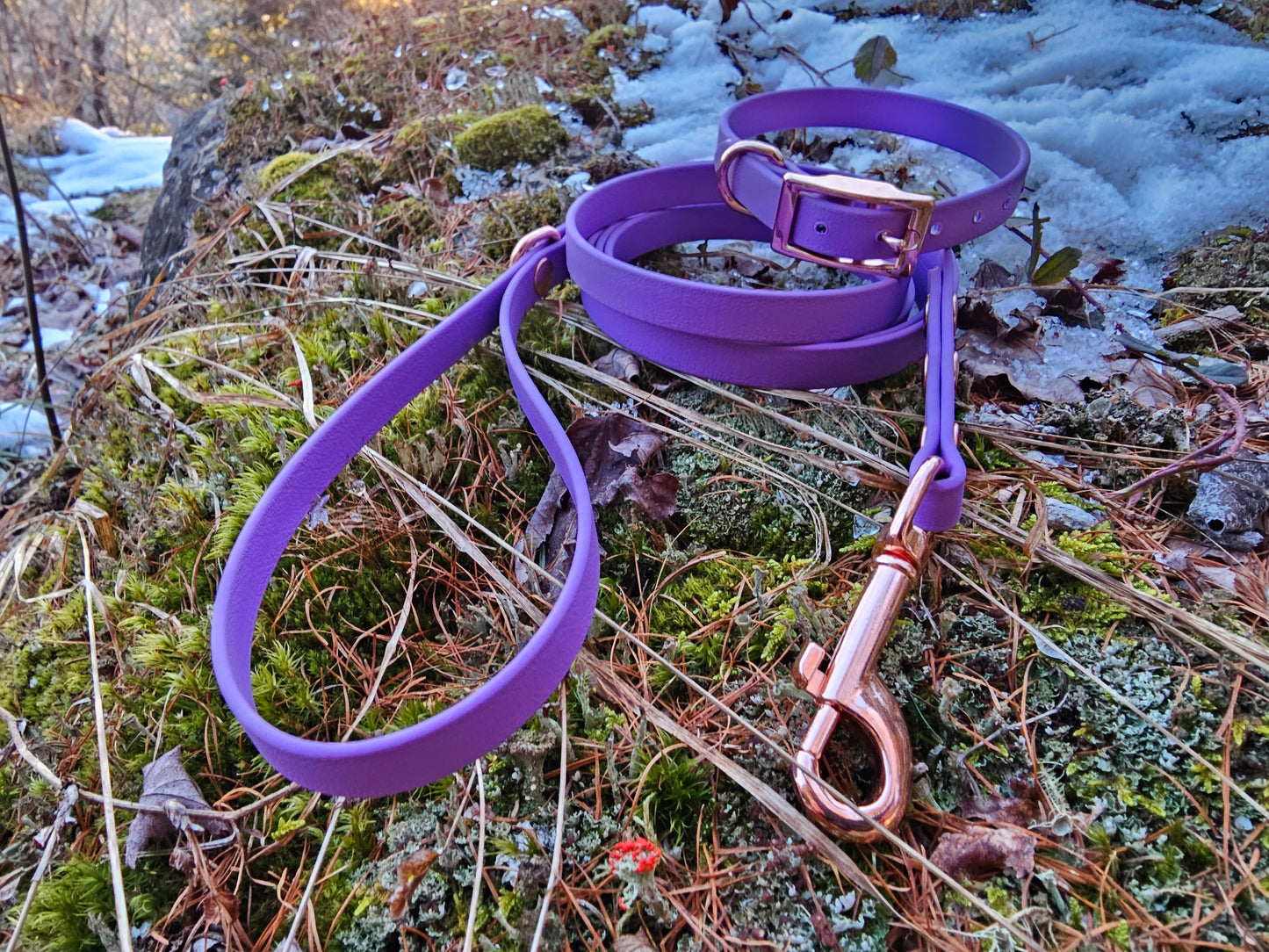 1/2" Collar/Leash Puppy or Small Dog Biothane Waterproof Leash and Collar, Vegan Leather Collar and Leash