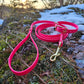 1/2" Collar/Leash Puppy or Small Dog Biothane Waterproof Leash and Collar, Vegan Leather Collar and Leash