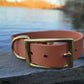 Solid Brass 1" Collar/Leash Biothane Set (Choice of 3/4" or 1" Leash) Waterproof Leash