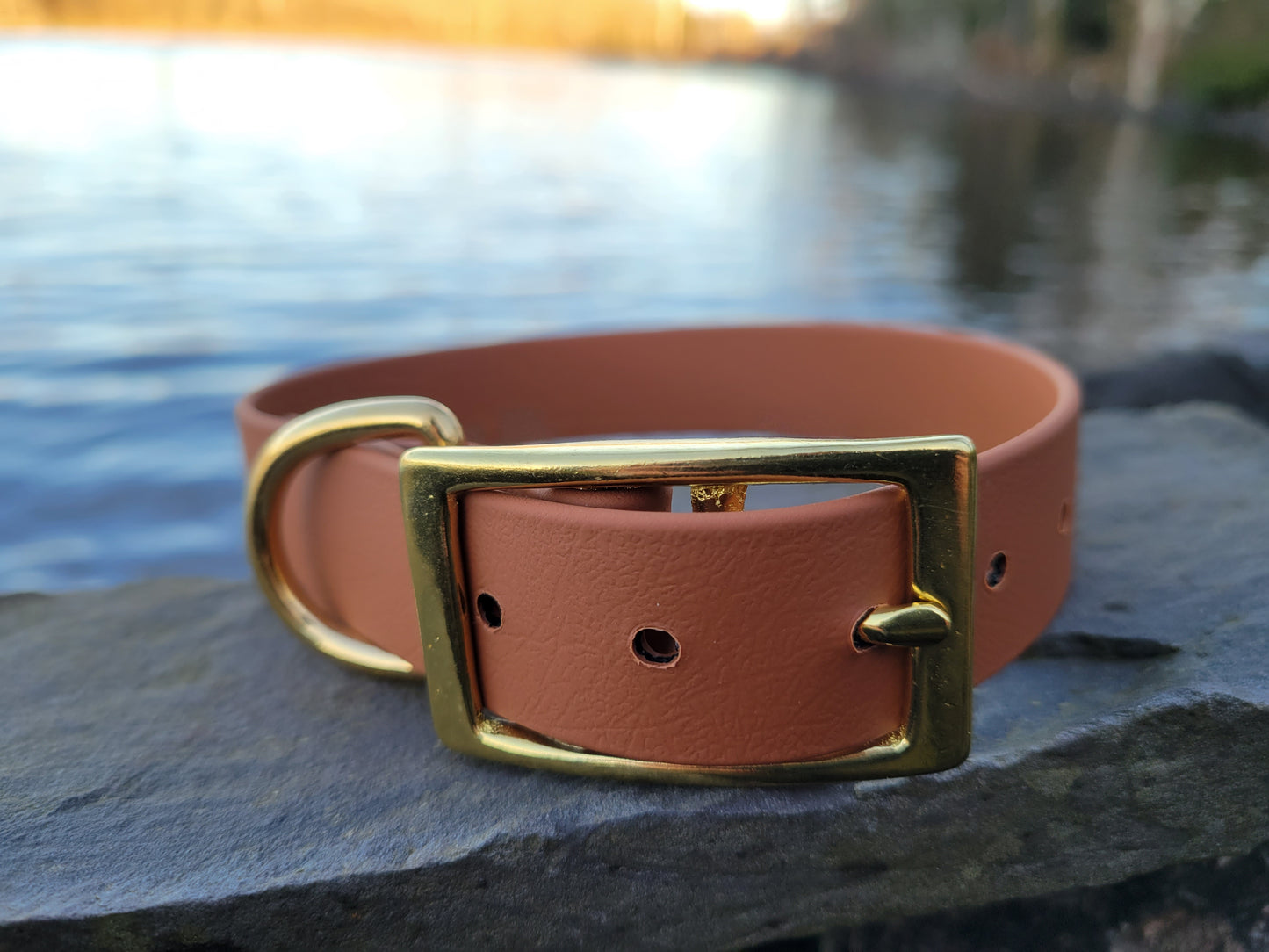 1" or 3/4" Wide Traditional Biothane Dog Collar