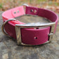 2 Tone Traditional Collar, Safety Collar, Collar with O-ring in 1" or 3/4"