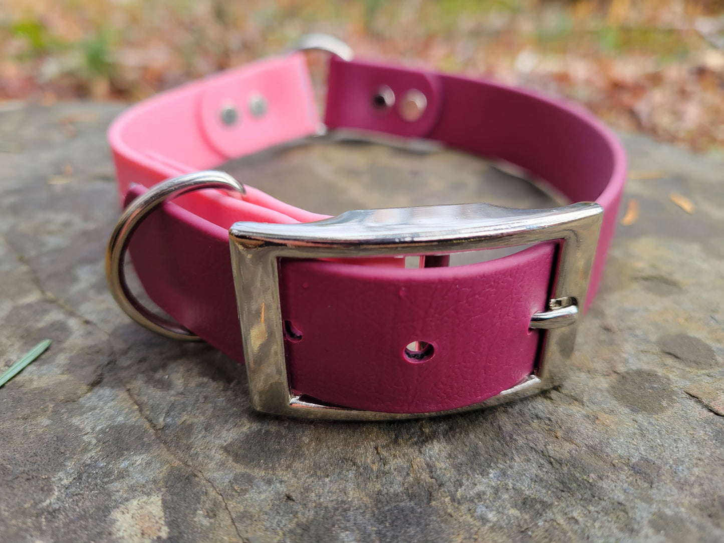 2 Tone Traditional Collar, Safety Collar, Collar with O-ring in 1" or 3/4"