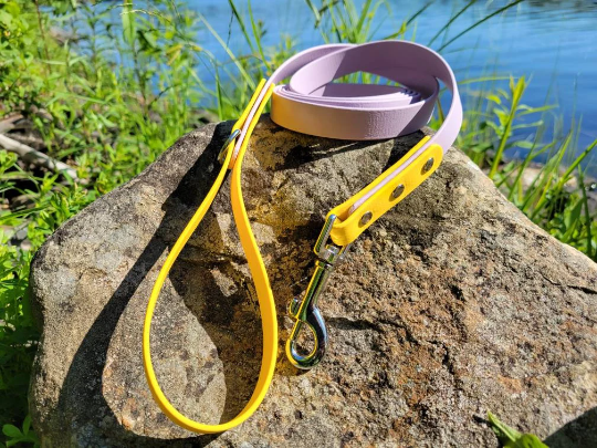 3/4" Wide Biothane Leash Single Color or 2 Tone Colour, Waterproof Leash, Vegan Leather Leash