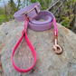 1" or 3/4" Collar/Leash Biothane Set in Single Colour or 2 Tone Leash (Choice of 3/4" or 1" Leash)