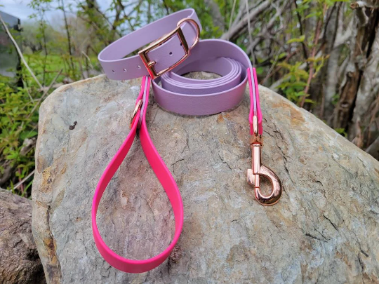 1" or 3/4" Collar/Leash Biothane Set in Single Colour or 2 Tone Leash (Choice of 3/4" or 1" Leash)