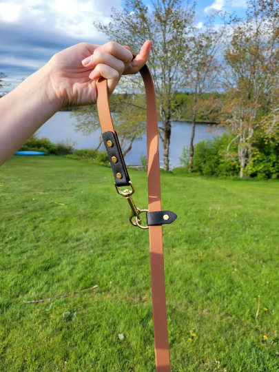 Hands Free Leash with Solid Brass Hardware