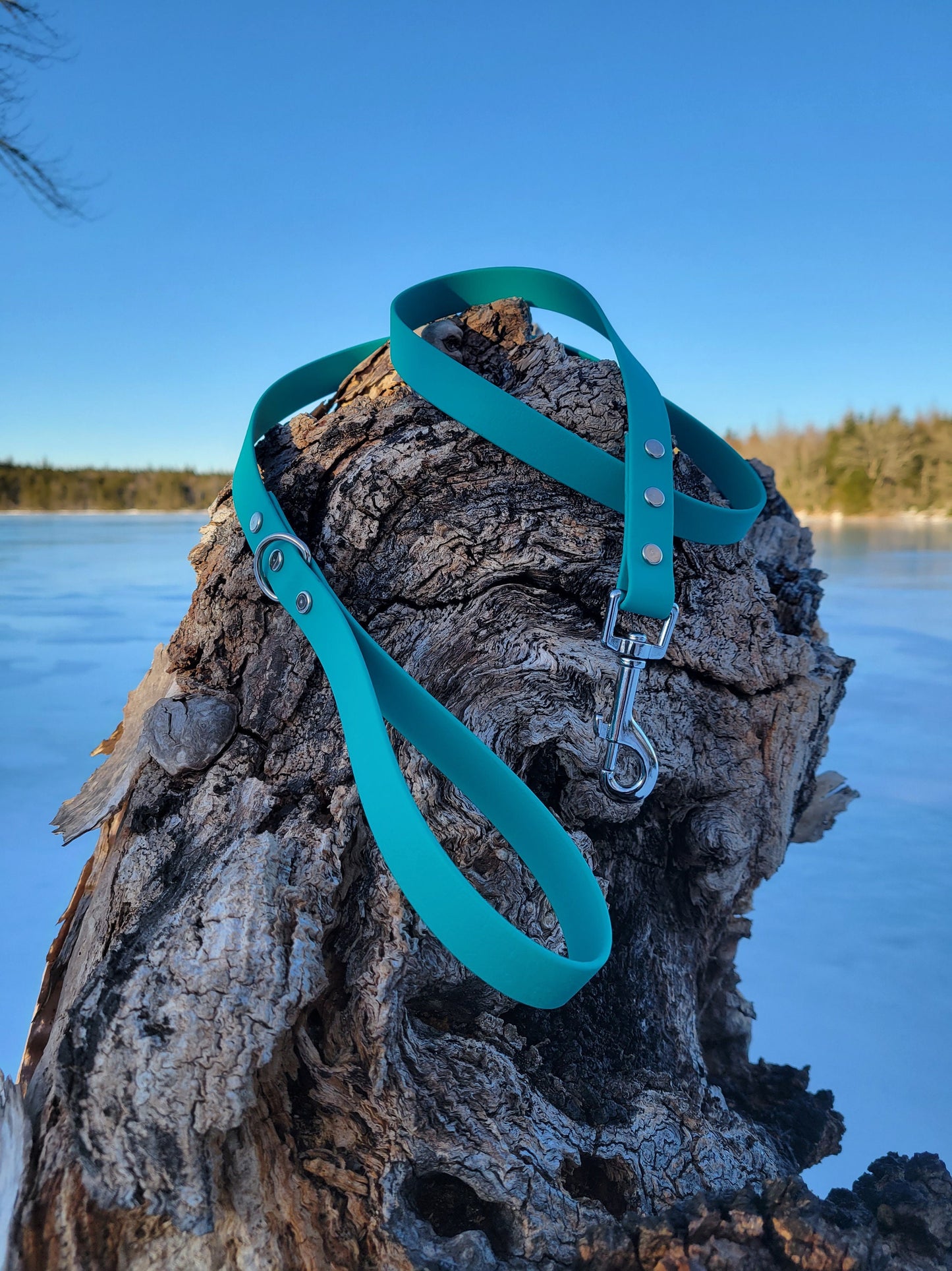 3/4" Wide Biothane Leash Single Color, Waterproof Leash, Vegan Leather Leash