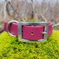 1" Wide Traditional Biothane Dog Collar Stainless Steel, Waterproof Dog Collar, Vegan Leather Dog Collar, Beach Dog Collar