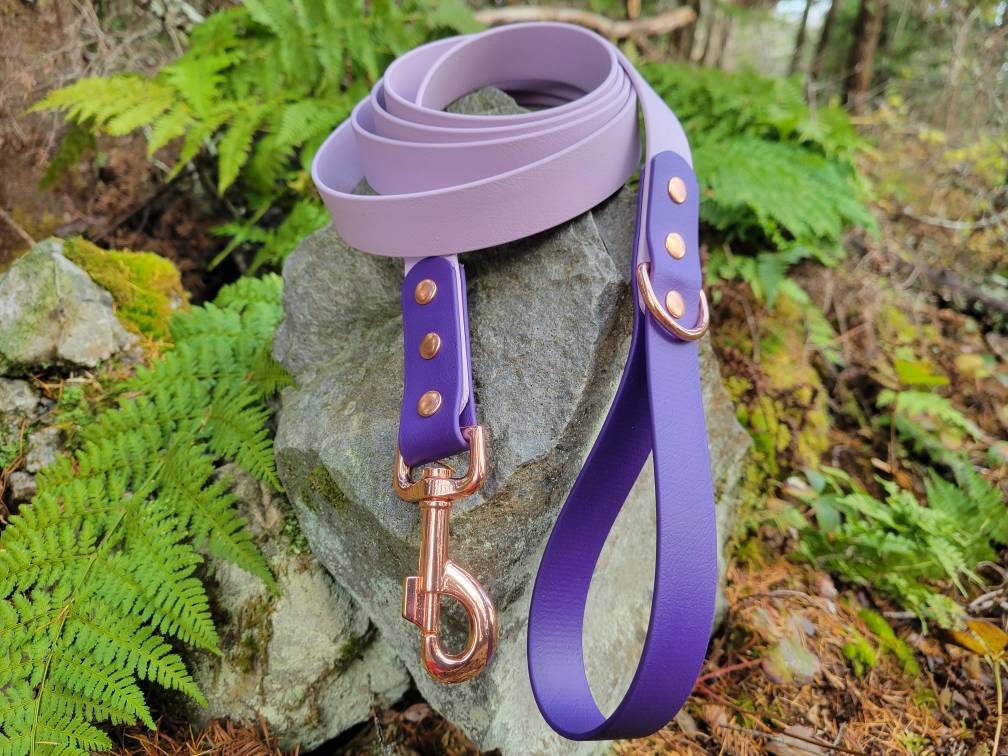 1" Wide Biothane Leash 2 Tone Color, Waterproof Leash, Vegan Leather Leash, Easy to Clean Leash