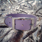 1" or 3/4" Wide Traditional Biothane Dog Collar