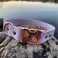 Adjustable Quick Release Biothane Dog Collar 1" or 3/4" Width