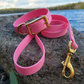 Solid Brass 1" Collar/Leash Biothane Set (Choice of 3/4" or 1" Leash) Waterproof Leash