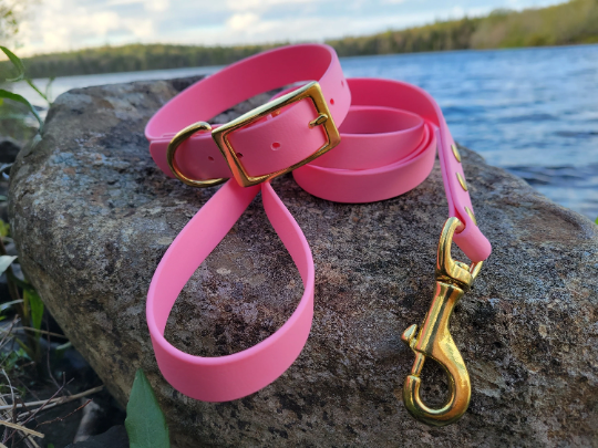 Solid Brass 1" Collar/Leash Biothane Set (Choice of 3/4" or 1" Leash) Waterproof Leash